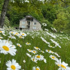 Guest House Tobuldar, hotel in Kʼveda Marghi