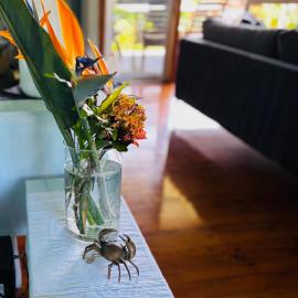 Trade Winds Country Cottages、Cascadeのホテル