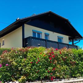 Vineyard cottage Tilka