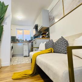 Deluxe Apartment, London