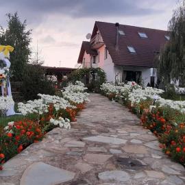 Casa Salcia Oituz, hotel in Oituz