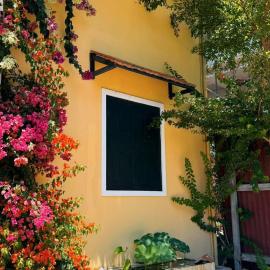 LV Homestay