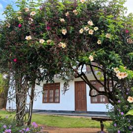 Cloud Nine, Hotel in Diyatalawa