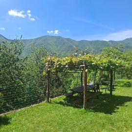 Albergo Ristorante La Selva – hotel w mieście Orsigna