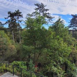 Le Nid 8pers-4ch-Vue forêt-Forêt de Fontainebleau