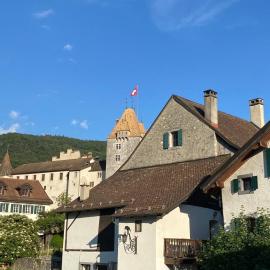 Studio avec vue sur le Château d'Aigle, hotel v destinácii Aigle