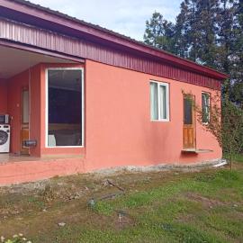 Nika's Home