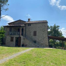 L'oliveto House