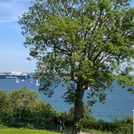 Seeblick-Helldahl - Am Strand von Travemünde