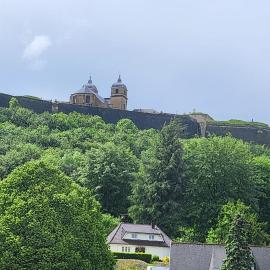 Le nid de la citadelle