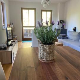 Appartment Rosennock