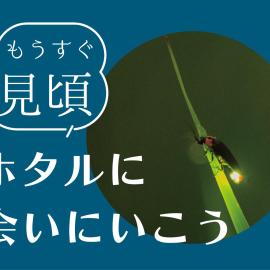 Ukiha Kojio no Akari, готель у місті Ukiha