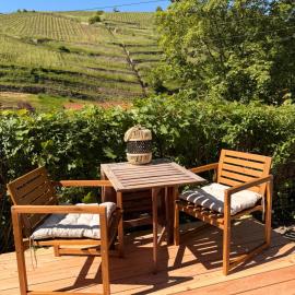 Ferienwohnung mit Weinbergblick