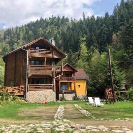 Cabana Bradul, hotel Radnaborberken