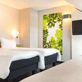 Ibis Strasbourg Sud La Vigie