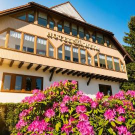 Gehlberg में, होटल Hotel Daheim
