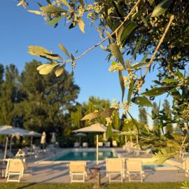 Agriturismo I Bosconi, מלון בצ'זנה