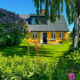 Summer House Among Fields Near Møns Klint