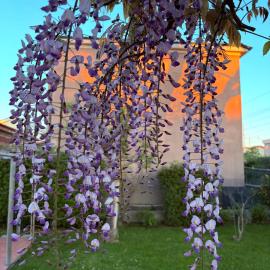 Domus Dafne Apartment, hotel u gradu Senigalija