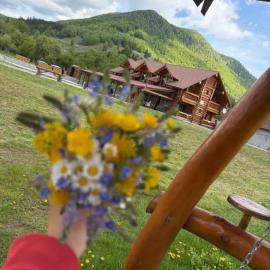 Chalet in Muntii Vrancei, hotel u gradu 'Greşu'