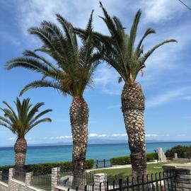Polichrono Seaside Studio