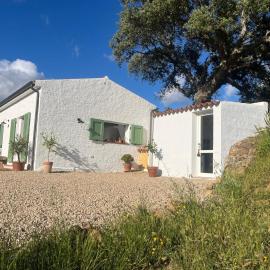 La Liara A house nestled between vineyards and a stream, hotel en Luogosanto