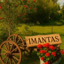 Imantass, hotel v mestu Salacgrīva