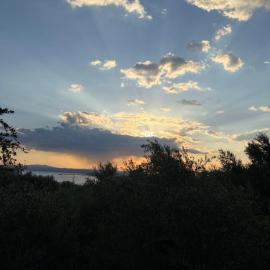 Verga Olive Grove Studio