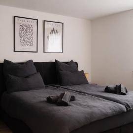 Urban Nest Apartment Lahr - Schwarzwald, Hotel in Lahr