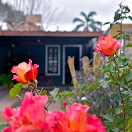 Las Magnolias, hotel in Embalse