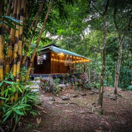 Wooden Cabin with deck Over Creek, walk to beach, Hotel in Dominicalito