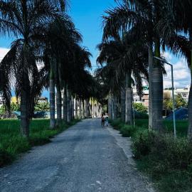 Gopinath Homestays, hotel u gradu Dehradun