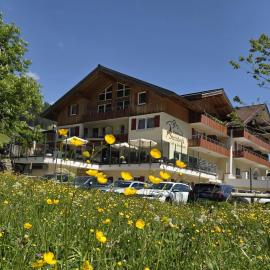 Hotel Steinbock