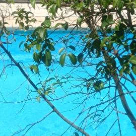 Sol de Poniente