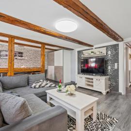 Modern apartments harz II