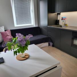 Studio Sleeps 2 Sollentuna centre, hotelli kohteessa Sollentuna