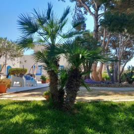 Blu Vacanze Apartments