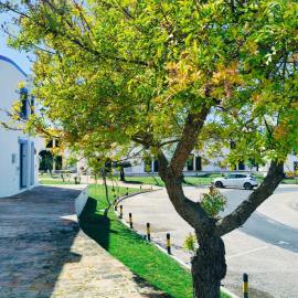 Typical Cabanas - Almargem