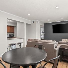 Newly Renovated Unit in Central Spfld #104