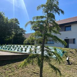 Le jardin de la mer