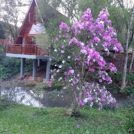 Cabanasdoaconchego, hotel en Salvador do Sul