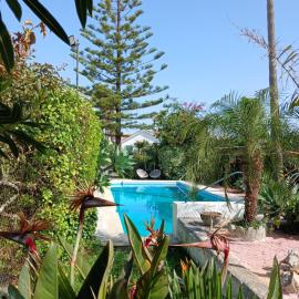 Villa Casa das Palmeiras