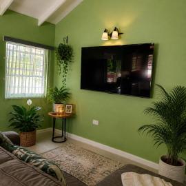 Blu Cottage, Hotel in Morne Serpent