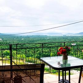 Dinis Hill