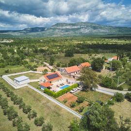 House Mellifera
