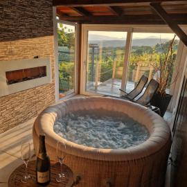 Vineyard Cottage with Private Jacuzzi, hotel in Metlika
