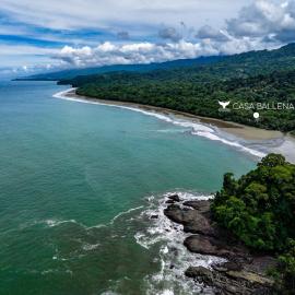 Beachfront Jungle Luxury! 3BD Penthouse Uvita, Hotel in Uvita