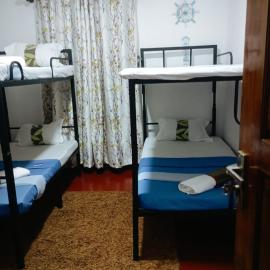 Jungle Paradise Hostel
