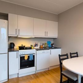 Møller apartment Central Station