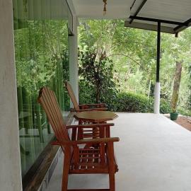 Rain forest freedom